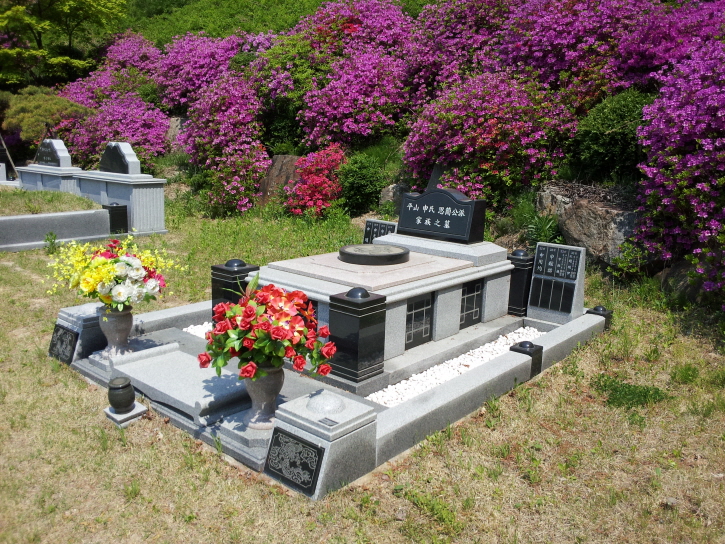 [만발한 연산홍]